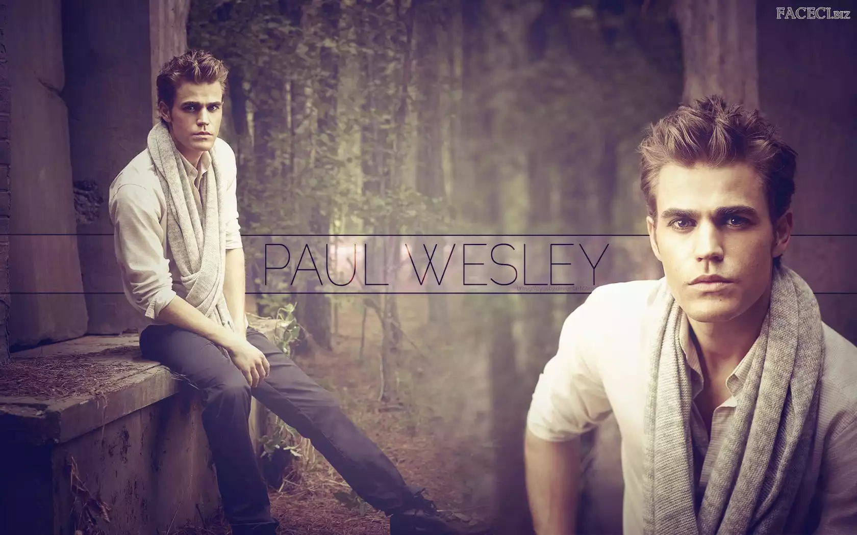 Paul Wesley, Szal